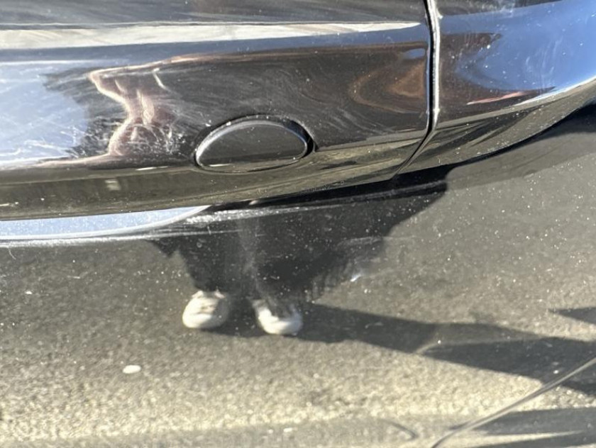 MG Motor Zs Hybrid+ 197ch Comfort - Visuel #13