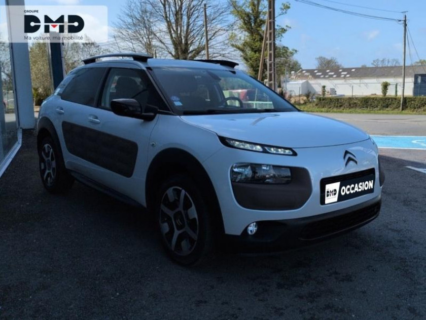 Citroen C4 Cactus Puretech 110 Rip Curl S&s - Visuel #15