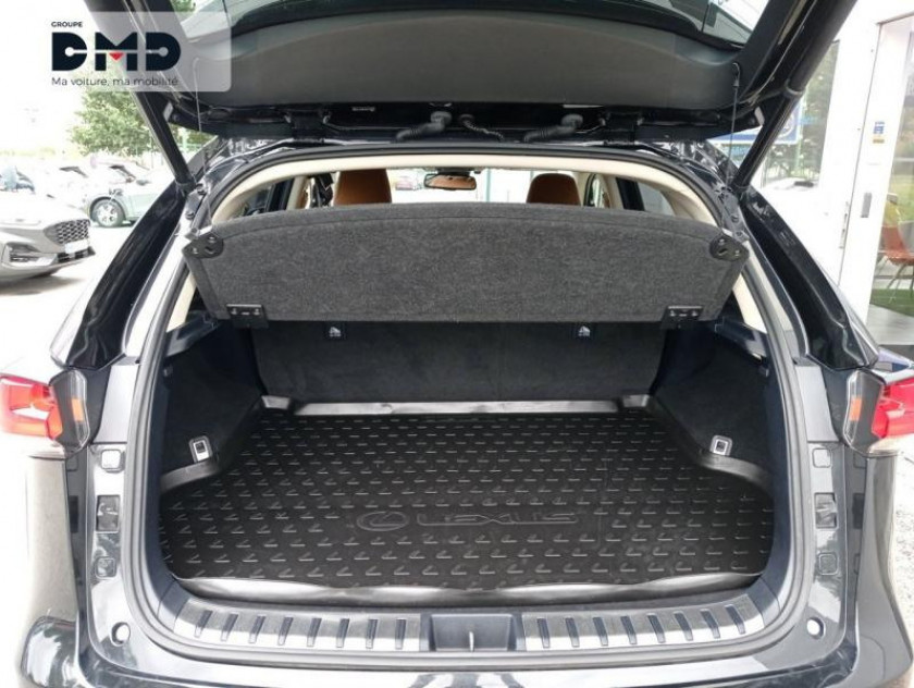 Lexus Nx 300h 4wd Executive - Visuel #2