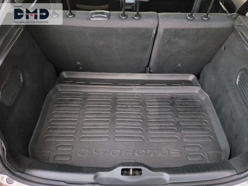 Citroen C4 Cactus Puretech 110 Rip Curl S&s - Visuel #12